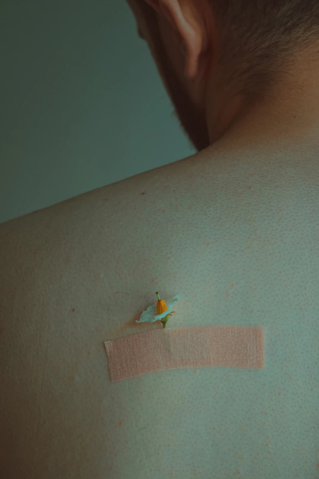 Ontdek de wereld van transdermale supplementpleisters